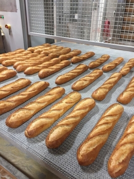 gallery/gallery bakeries4